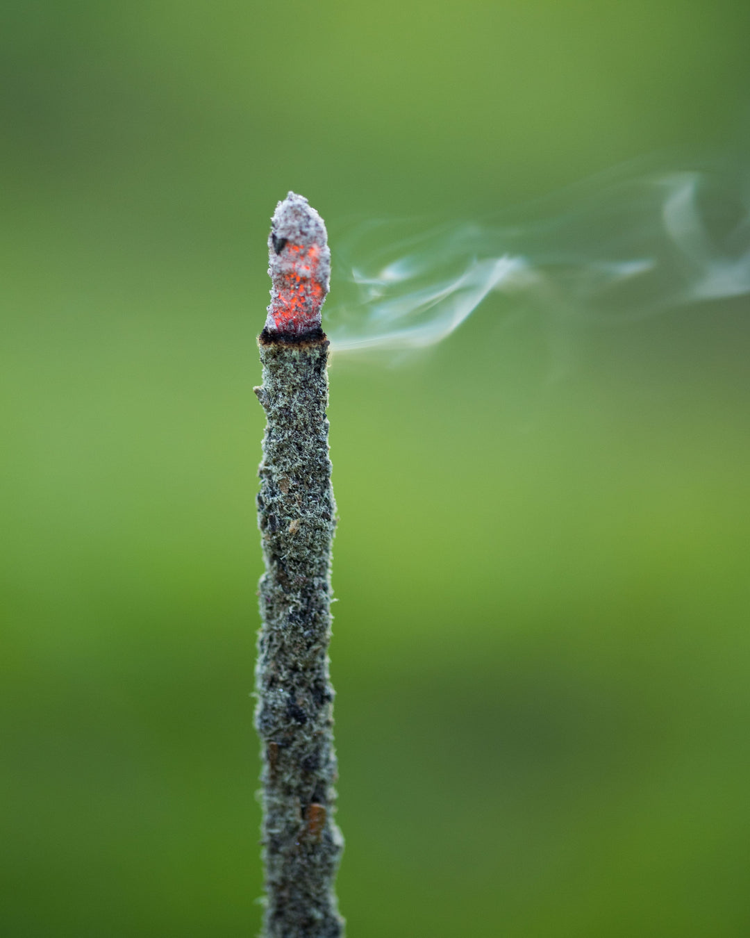 18 RAZONES INCIENSO 800B GAIA MASALA.        (SABIDURIA INTERNA)