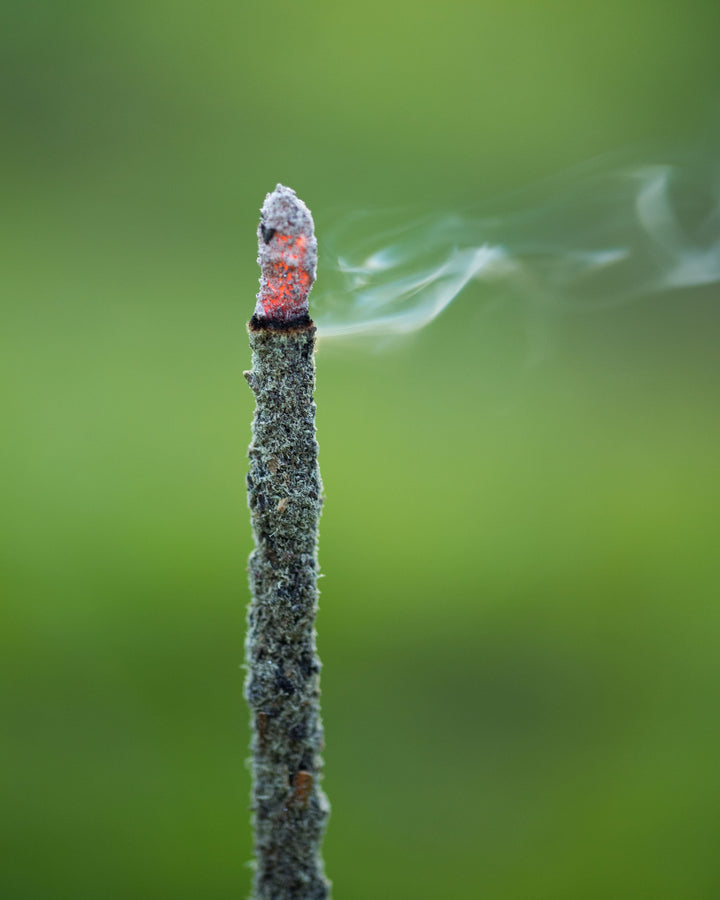 18 RAZONES INCIENSO 800B GAIA MASALA.        (SABIDURIA INTERNA)