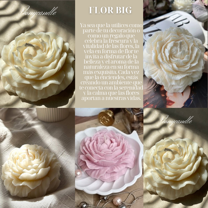 LA MARIE BIG FLOWER