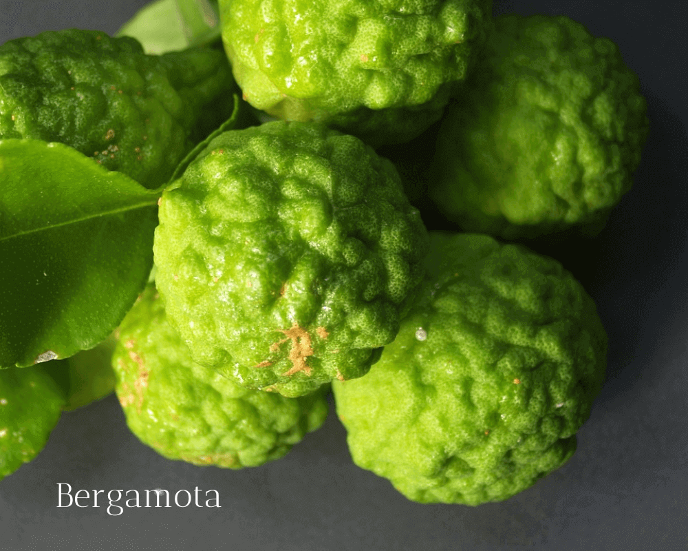 OdA Aceites Esenciales 100% Puros para aromaterapia y bienestar