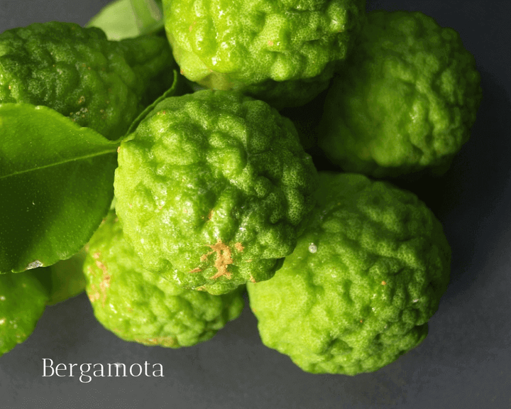 OdA Aceites Esenciales 100% Puros para aromaterapia y bienestar