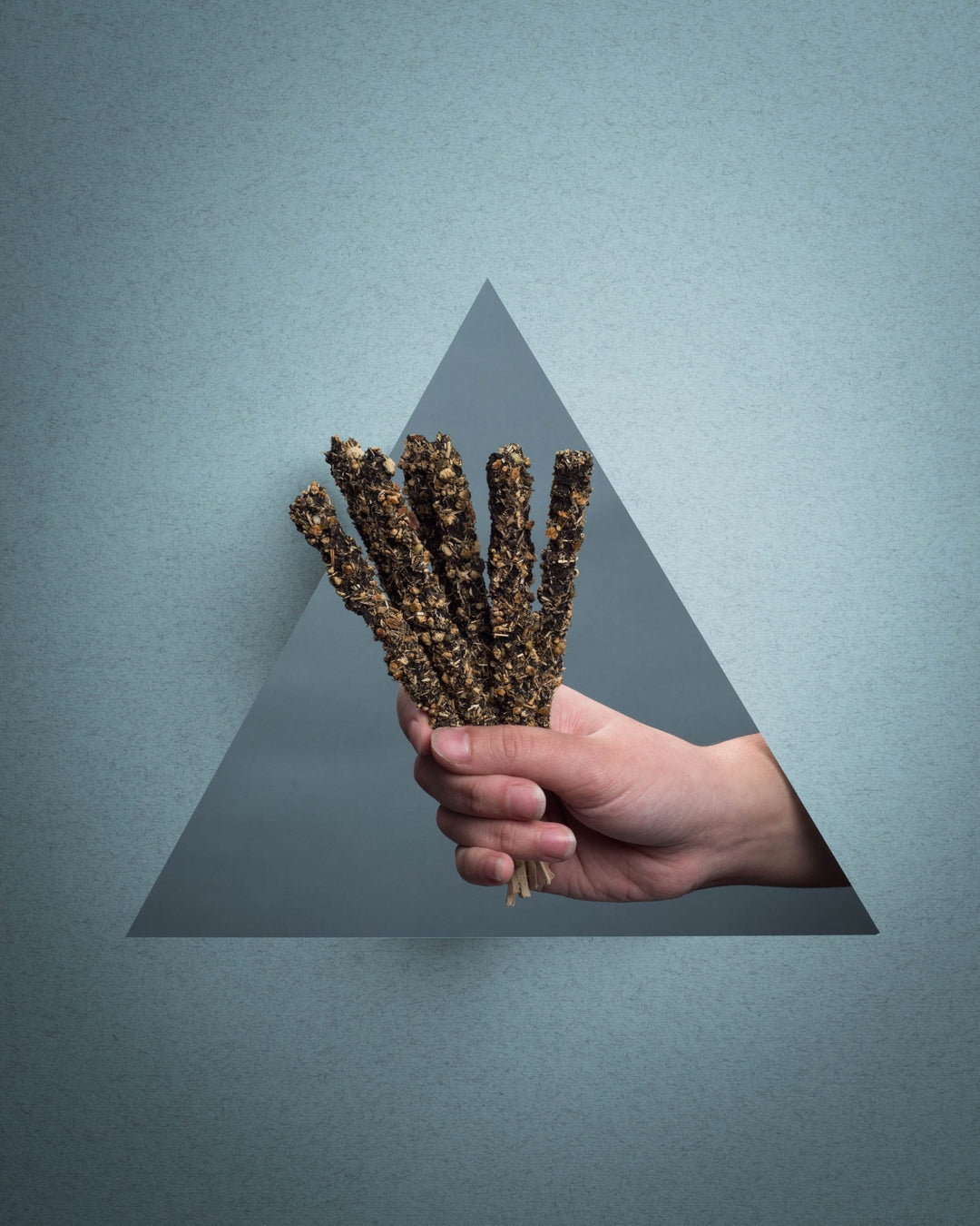 18 RAZONES INCIENSO 15A ENERGIA LIMPIA - RENACER